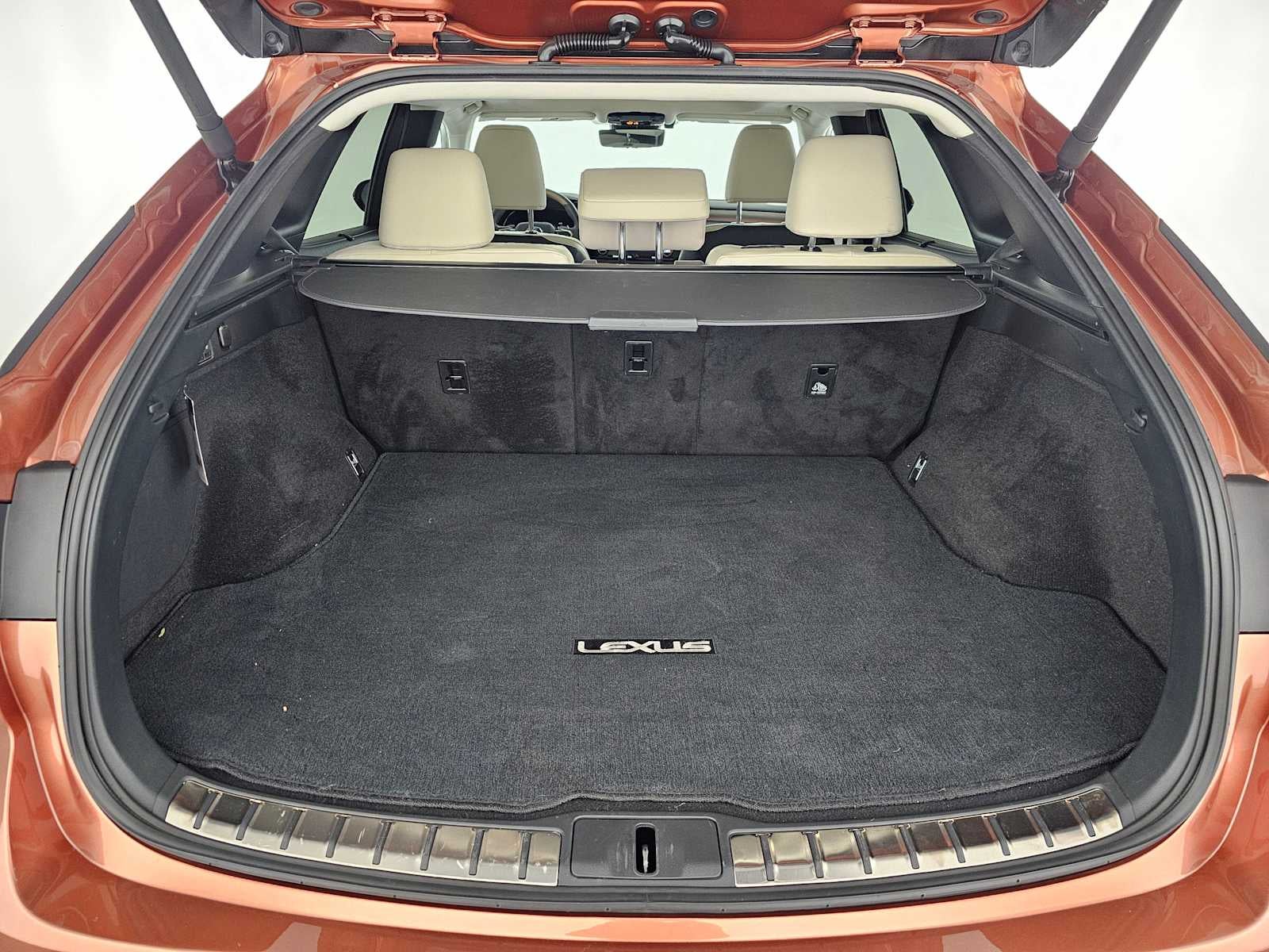 2023 Lexus RX Luxury