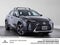 2025 Lexus UX 300h UX 300h