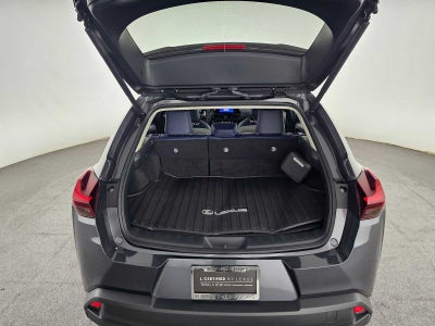 2025 Lexus UX 300h UX 300h