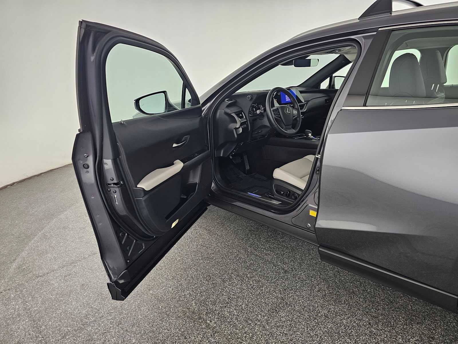 2025 Lexus UX 300h UX 300h