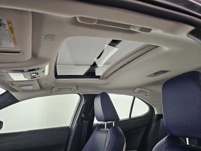 2025 Lexus UX 300h UX 300h