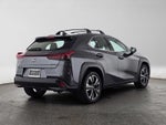 2025 Lexus UX 300h UX 300h