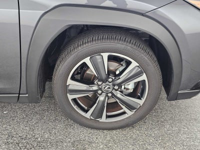 2025 Lexus UX 300h UX 300h