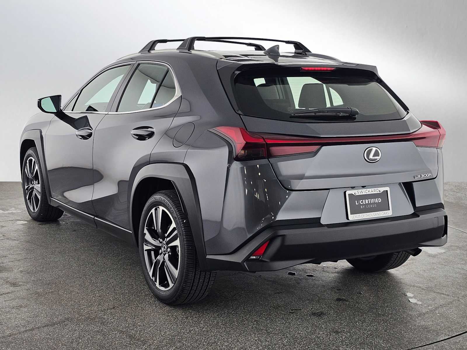 2025 Lexus UX 300h UX 300h