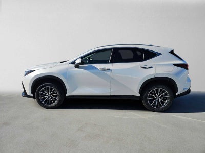 2025 Lexus NX 250 NX 250