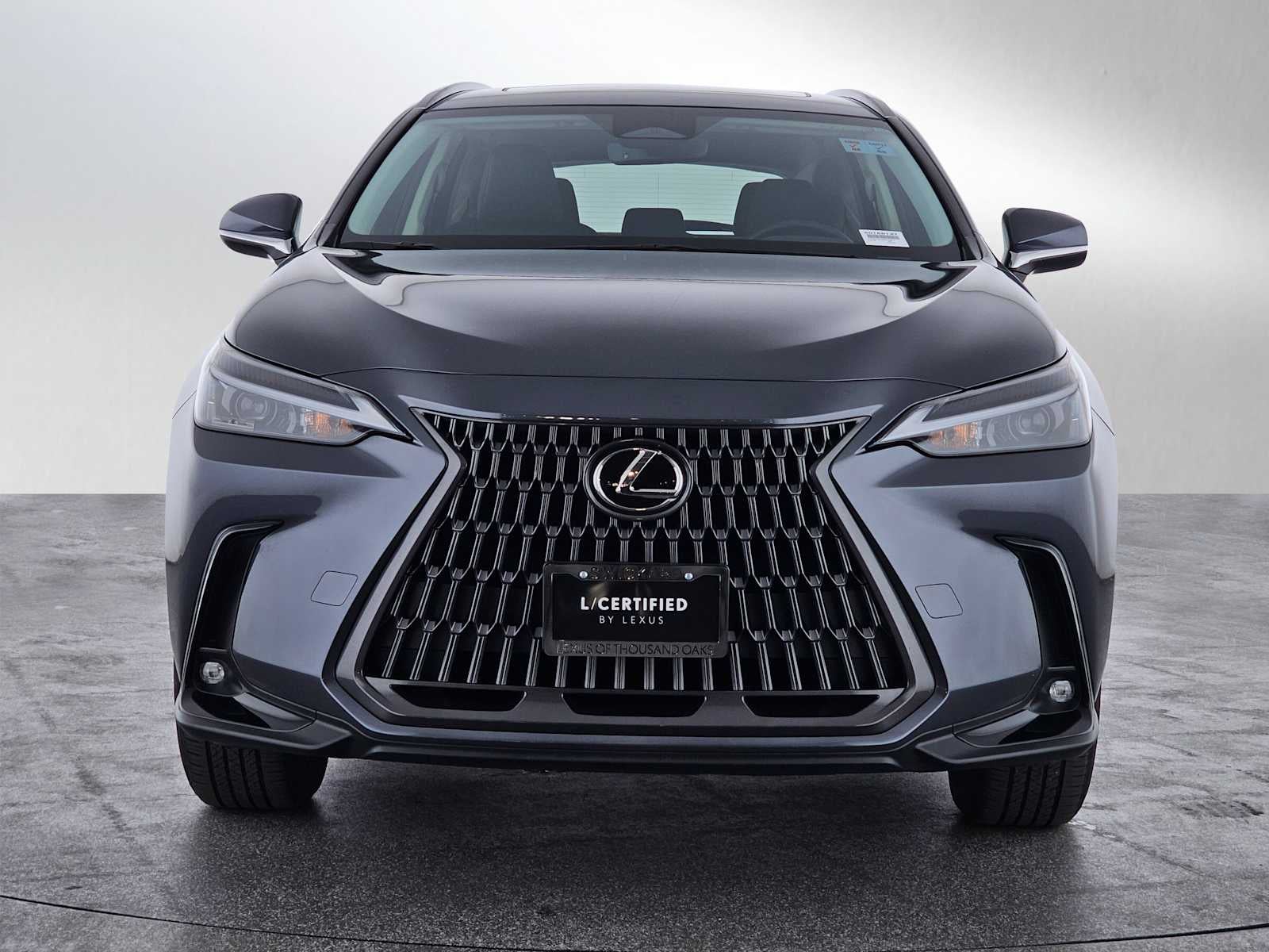 2024 Lexus NX NX 250