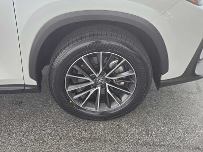 2025 Lexus NX 250 Premium