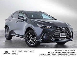 2025 Lexus NX Premium