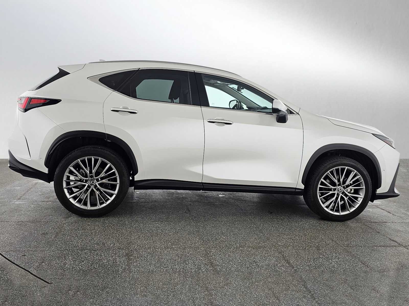 2025 Lexus NX Luxury