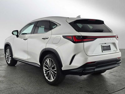2025 Lexus NX Luxury
