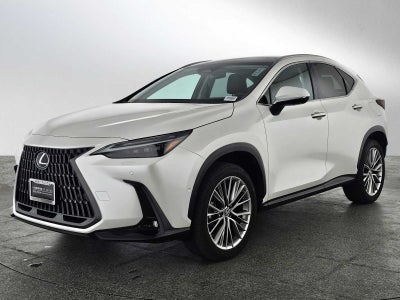 2025 Lexus NX Luxury
