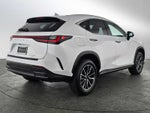 2026 Lexus NX Premium