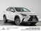 2019 Lexus NX 300 NX 300