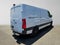 2026 Mercedes-Benz Sprinter 2500 Standard Roof I4 Diesel 144 RWD