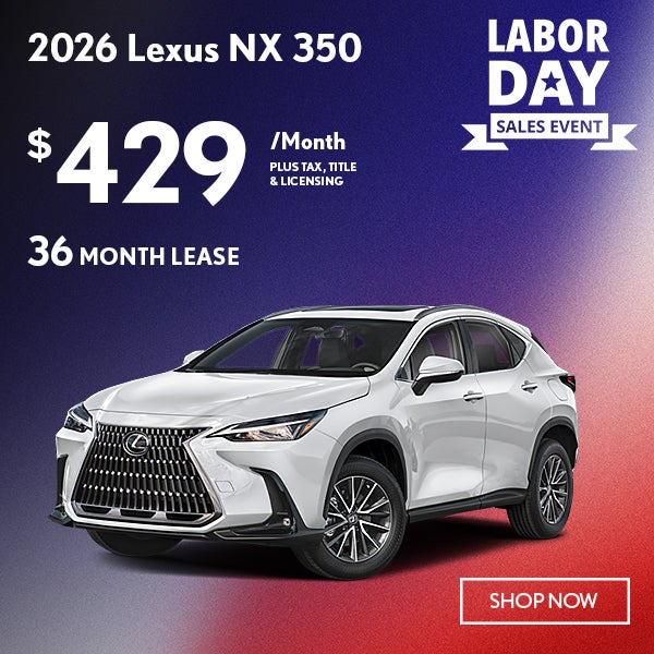 NX